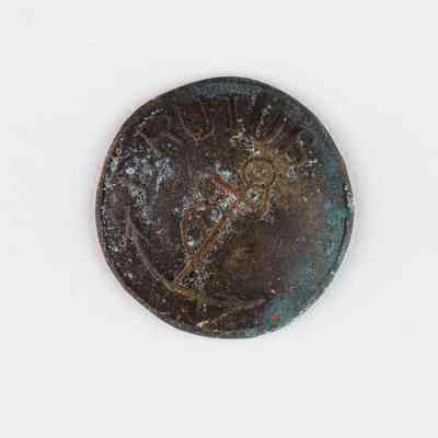 Brutus Copper Coat Button
