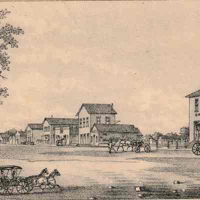 Flatonia [Lithograph]