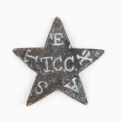 Texas Cavalry Corps [Hat Star]