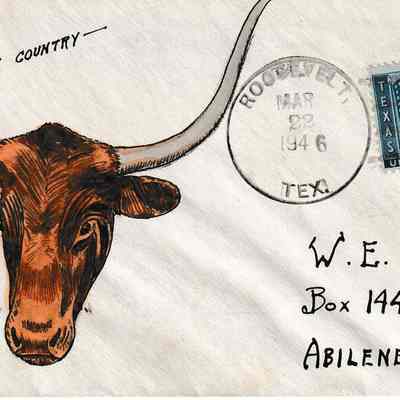 “Longhorn Country” [Cover]