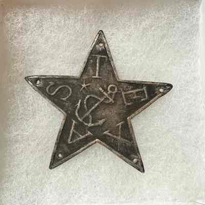 Texas Navy Silver Hat Star (Large)