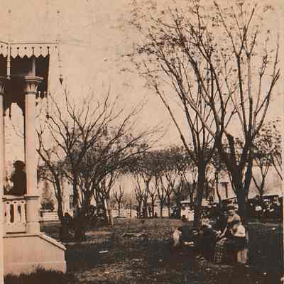 Travis Park [Stereoview]