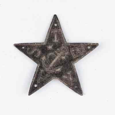 Texas Navy Hat Star