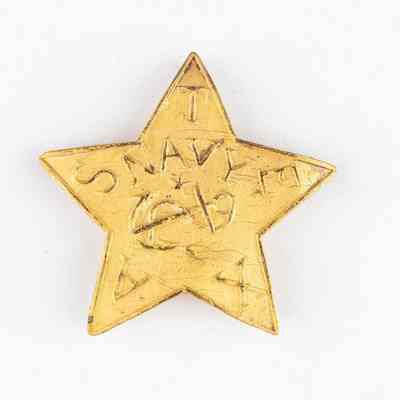 Texas Navy Gold Hat Star
