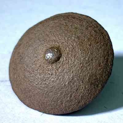 Spanish Officer's Rodela Button