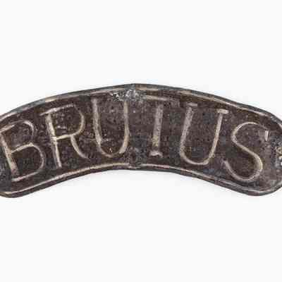Brutus Silver Shoulder Tab
