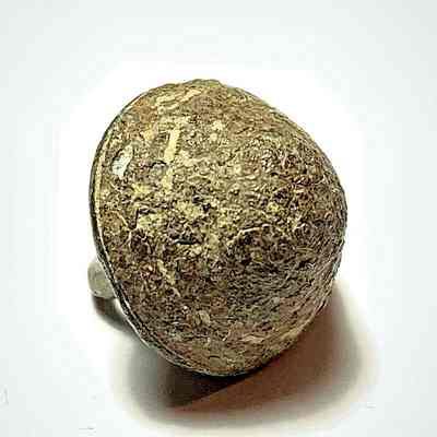 Spanish Domed Type Naval Button 1733 Fleet (98)