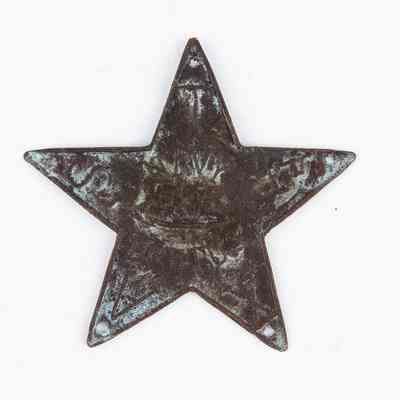 Texas Navy Brutus Copper Hat Star