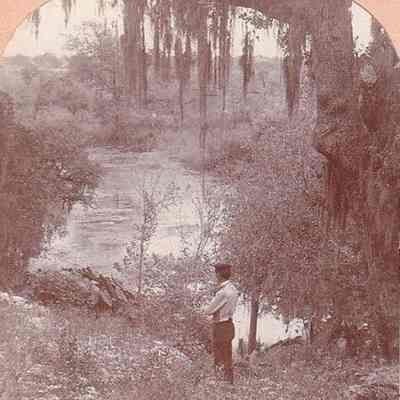 Landa Park [Stereoview]