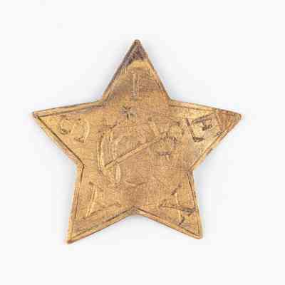 Texas Navy Gold Hat Star