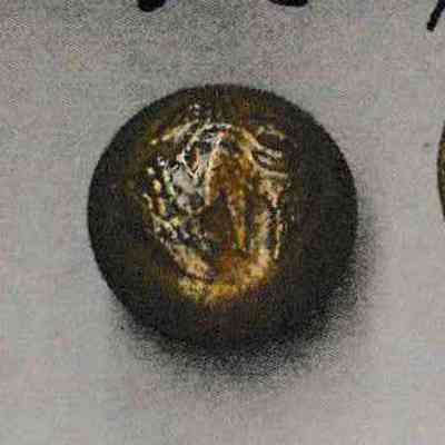 #2 Mexican Coat Button