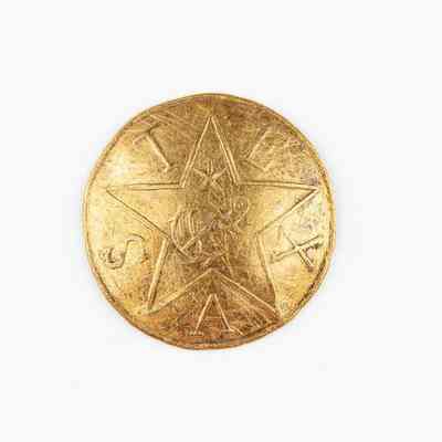 Texas Navy Gold Hat Star Pin