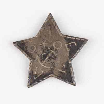Texas Navy Silver Hat Star (wide)
