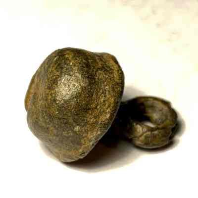 Spanish Military Doublet Button Menendez Expedition St. Augustine 1665 #3 (118)