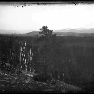 Boulder with Forest