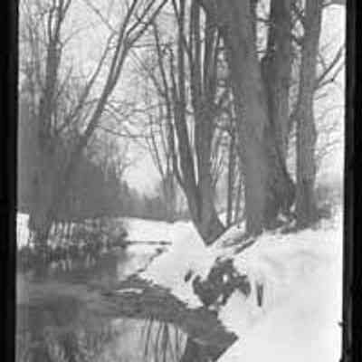 Snowy Brook