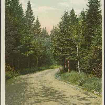 On the road form Crawfords to Bretton Woods, White Mountains, N.H.