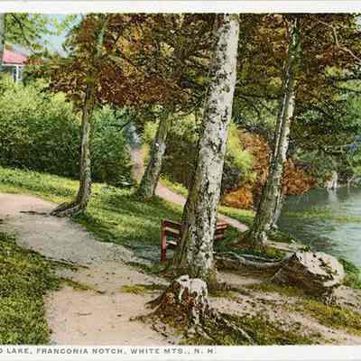 Along Echo Lake, Franconia Notch, White Mts., N.H.