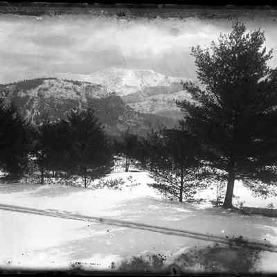 Tracks, with Trees and Mountain