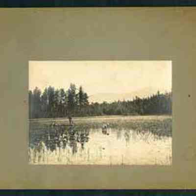 Gathering at Pudding Pond