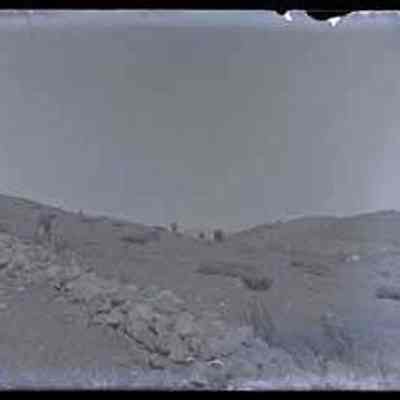 Hillside