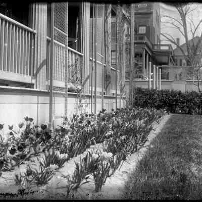 Flower Beds