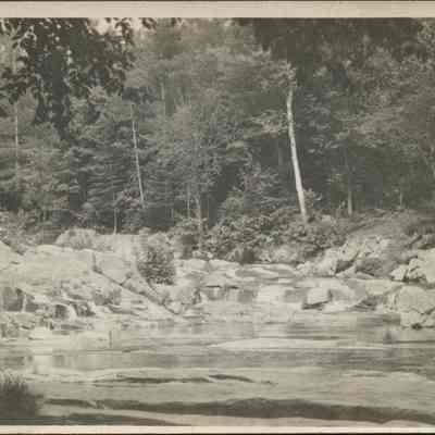 Rocky Pool Surrounded by Trees