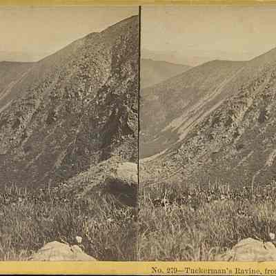 Tuckerman's Ravine, from near summit of Mt Washington.