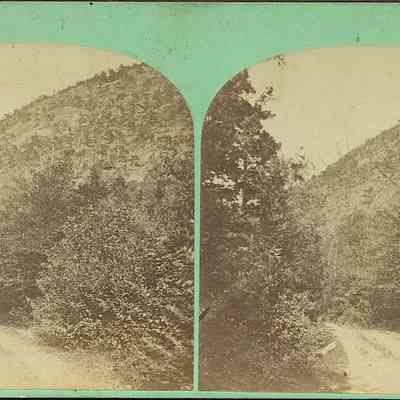 Dirt Road in the Woods
