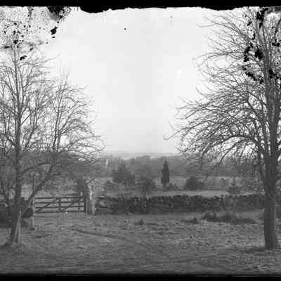 Stone wall in a field