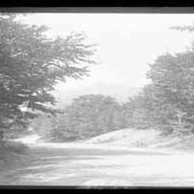 Picture of a Mining Road