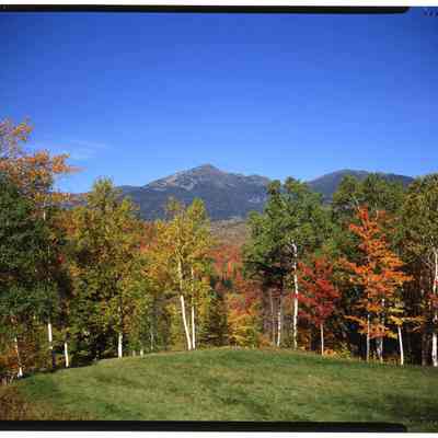 Mt. Adams, Pinkham Notch, NH