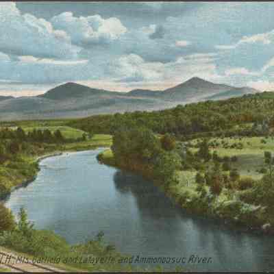 Postcard