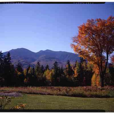 Mts. Adams & Madison, Randolph, NH