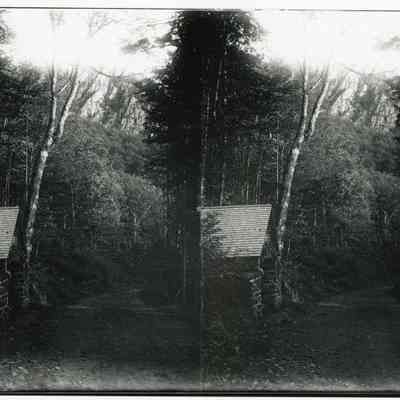 Balsams Spring House