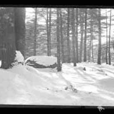 Winter Hike