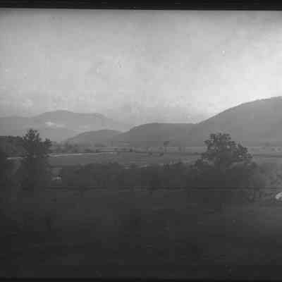 Fields with Trees