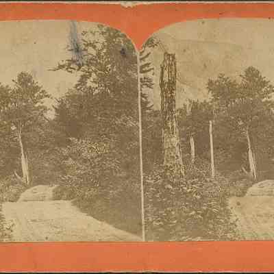 Road from Echo Lake to Profile House