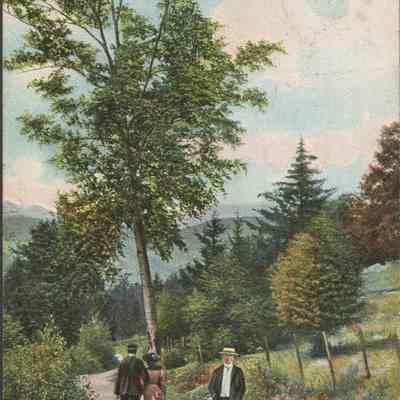 White Mts. At Jackson NH