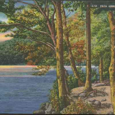 Path around Profile Lake, White Mts., NH