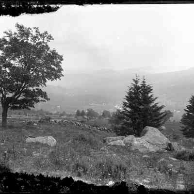 Rocky Field