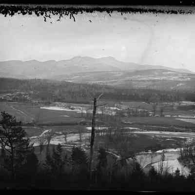 Trees, Fields, and Farmhouses