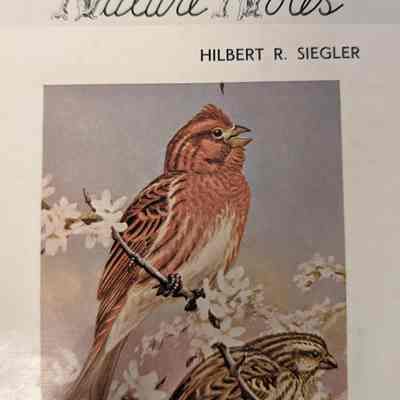 New Hampshire Nature Notes