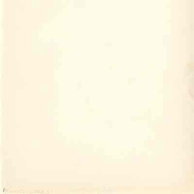 Back of photograph with a small pen line in the lower left corner that may be a 1 or an I.