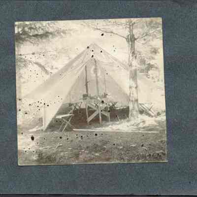 Tent Among the Trees