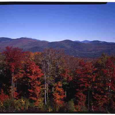 Bartlett from Bear Notch Rd., NH