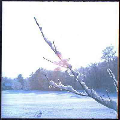 Snowy Field