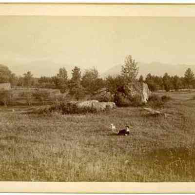Boy and Dog in Field