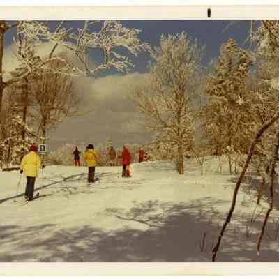Skiing at The Balsams