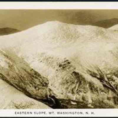 P117 Eastern Slope, Mt Washington, N. H.